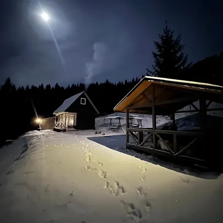 Holiday home будинок на горі борщевиця