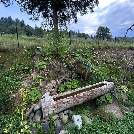 будинок на горі борщевиця Kvasni