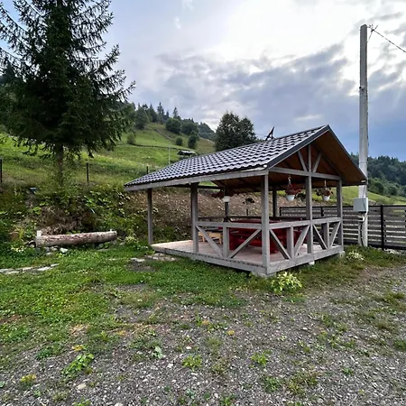 будинок на горі борщевиця Holiday home Kvasni