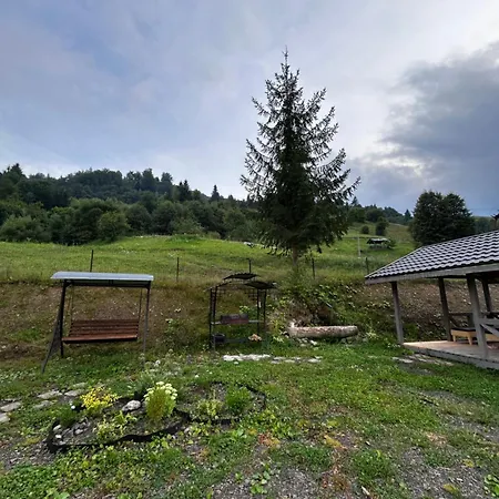 будинок на горі борщевиця Holiday home