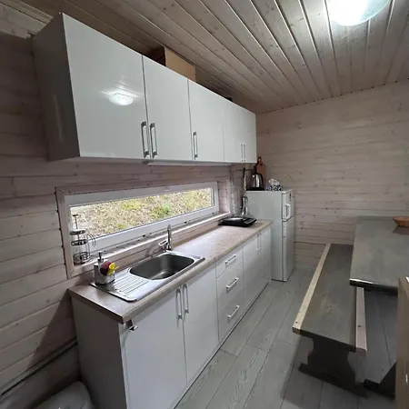 будинок на горі борщевиця Holiday home
